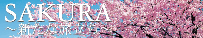 SAKURA`Vȗ`