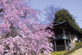 TERAKOYA3